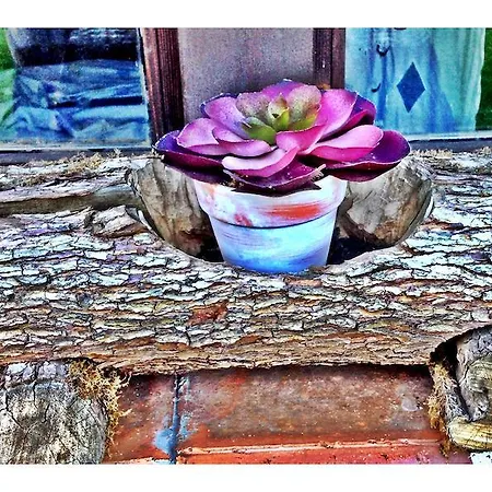 アパート Rurales El Buxu ソト・デ・カンガス